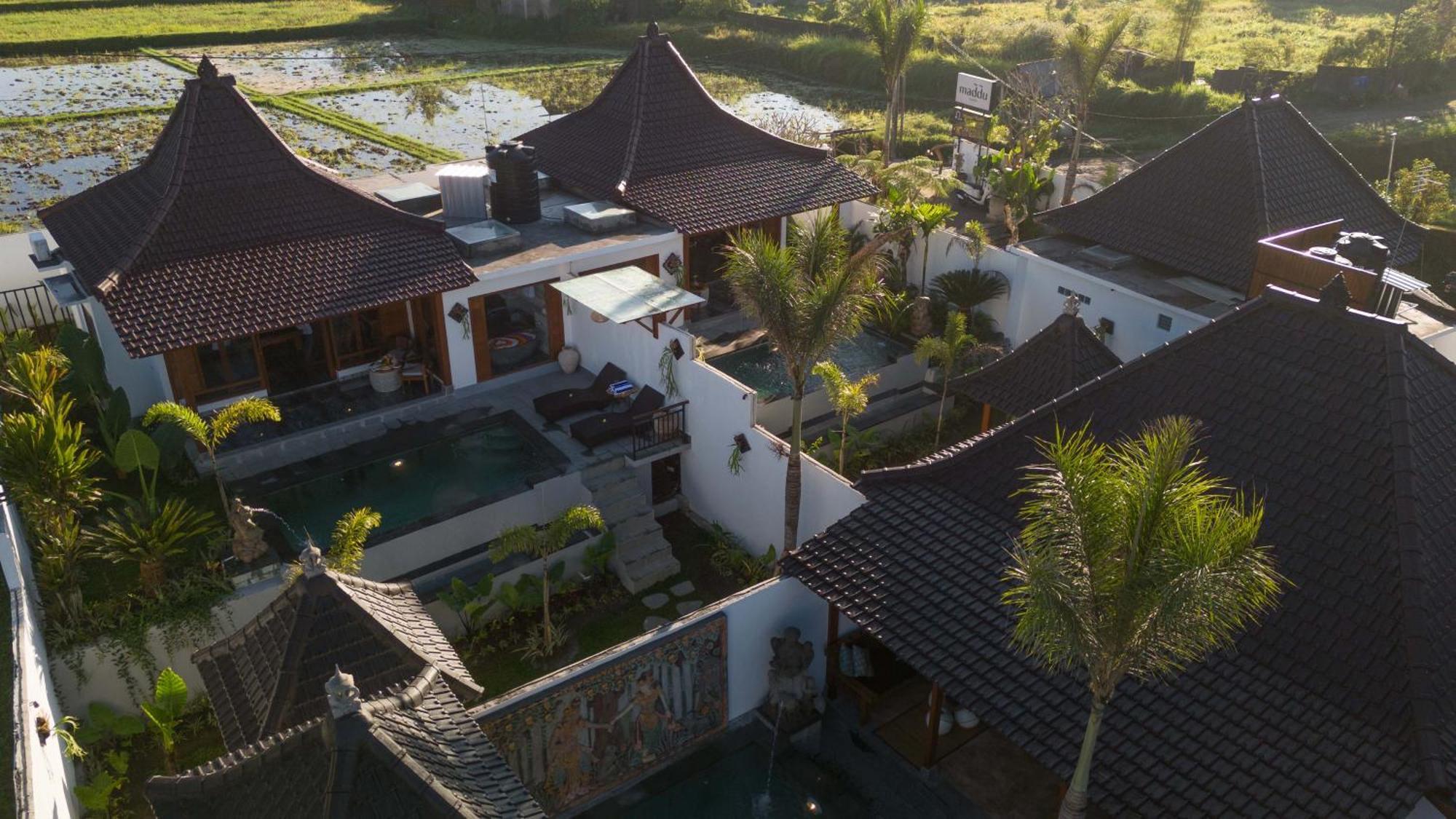 Maddu Ubud