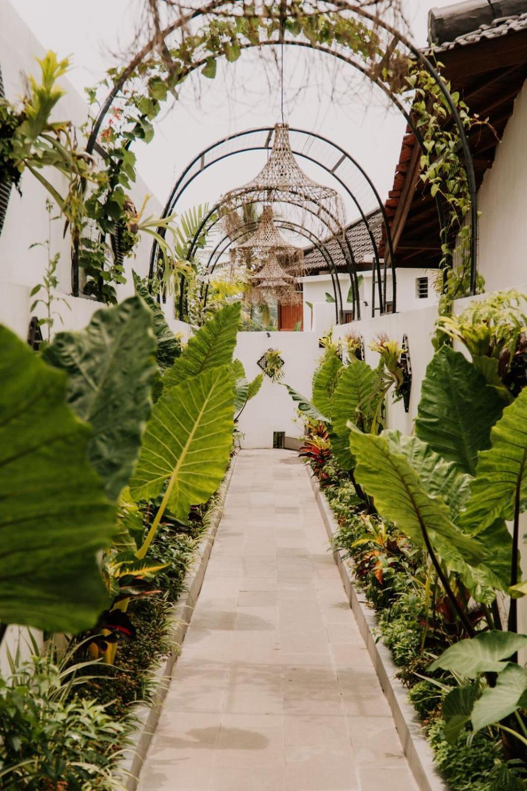 Maddu * Ubud